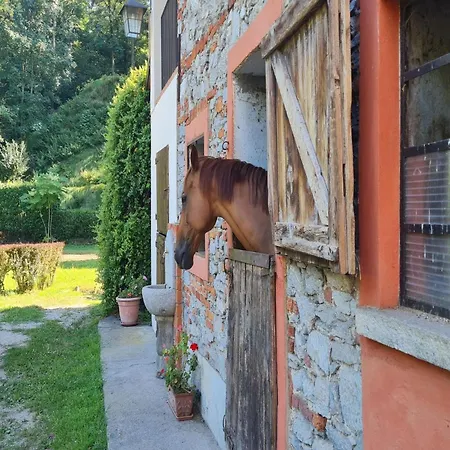 Villa Timeless L' Antico Mulino Della Bozza - Happy Brebbia