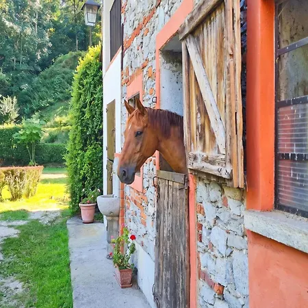 Timeless L'antico Mulino Della Bozza In - Happy Willa *