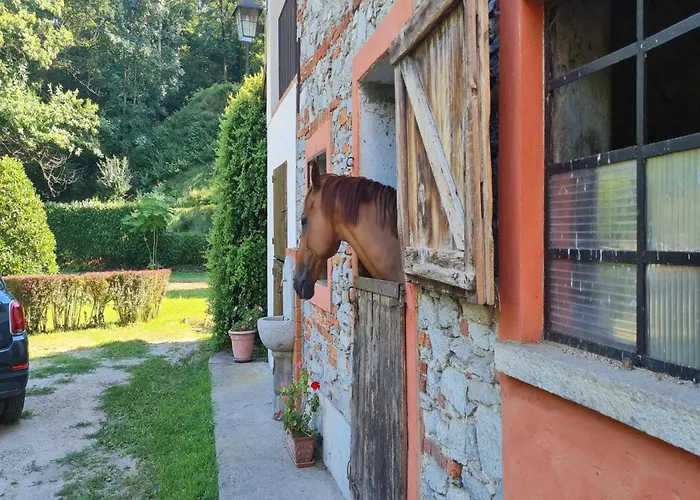 Villa Timeless L' Antico Mulino Della Bozza - Happy Brebbia